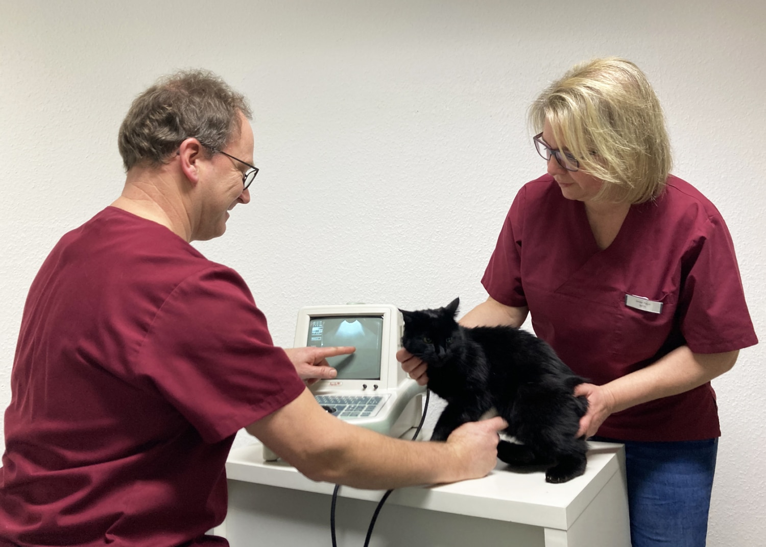 kleintierpraxis dr med vet mahdi
